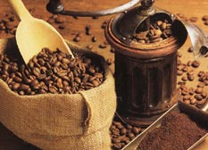 Сорта кофе из Африки