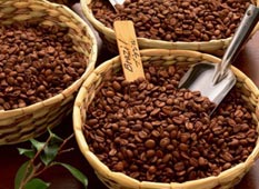 Сорта кофе из Южной Америки