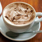 Рисунки на кофе. Кот