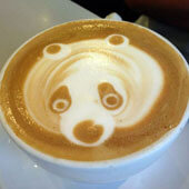 Рисунки на кофе. Обиженный медведь