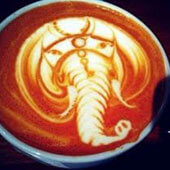 Рисунки на кофе. Слон