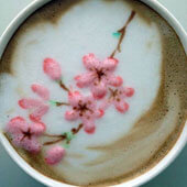 Рисунки на кофе. Ветка с цветами