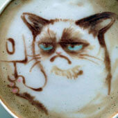 Рисунки на кофе. Недовольный кот