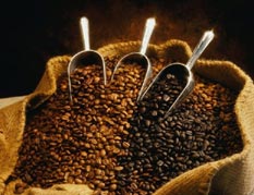 Сорта кофе из Азии и Австралии