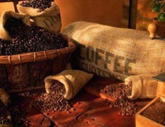 Сорта кофе из Центральной Америки
