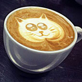 Рисунки на кофе. Милый котенок