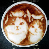 Рисунки на кофе. Коты